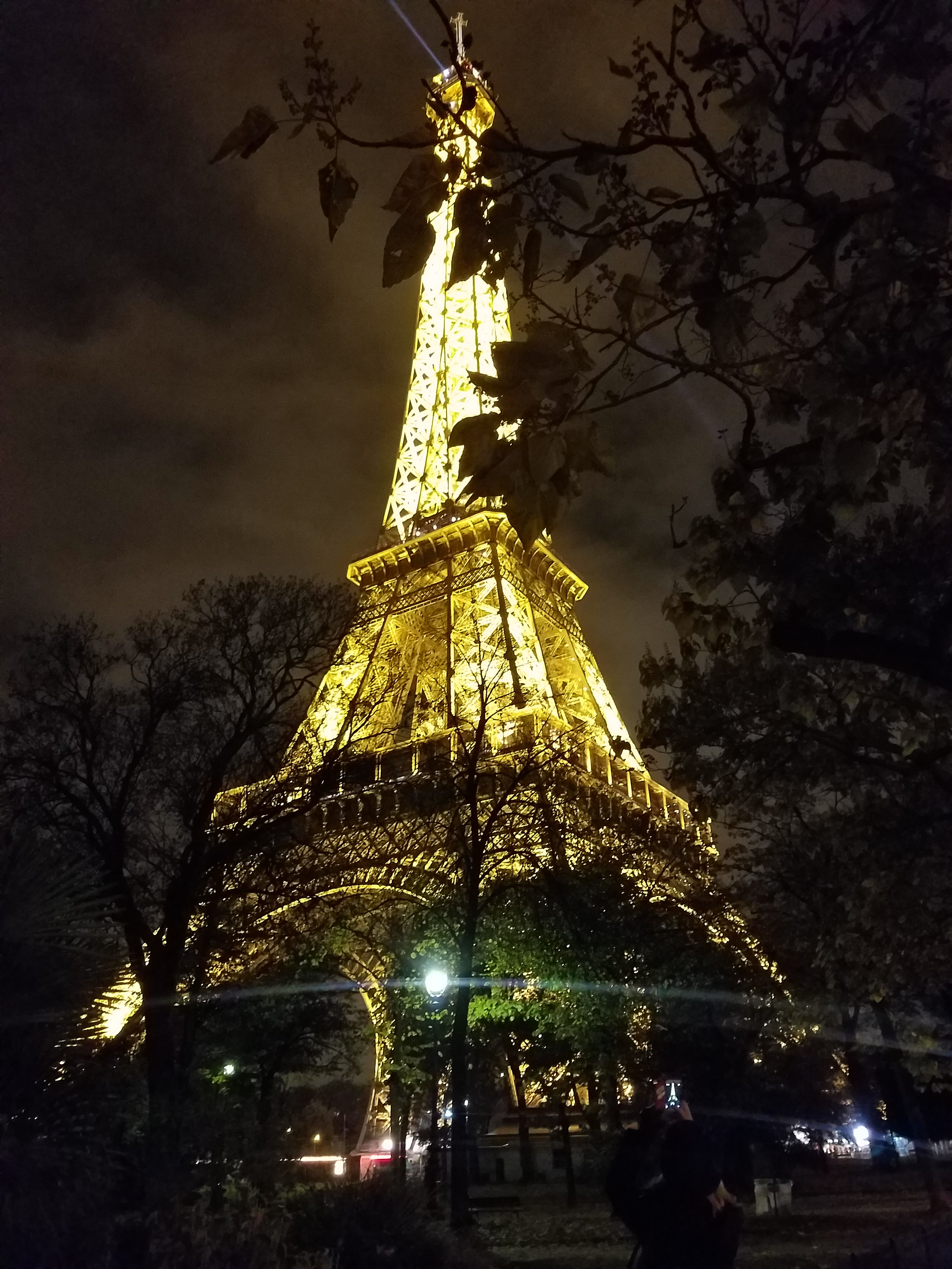 A STAMP SET A DAY IN MAY: DAY 11: Parisian Beauty